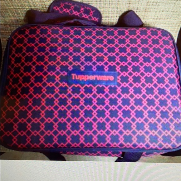 Insulated ultra carrier
